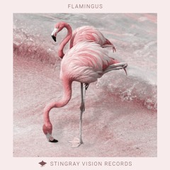 Flamingus - Androgyn (Viqtourson Remix)