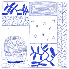 Samambaia