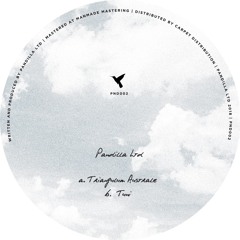 Pandilla LTD - Triangulum Australe EP (PND002) #Preview