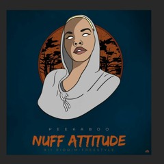 Peekaboo - Nuff Attitude(911 Riddim Remake Dj Fab Master)