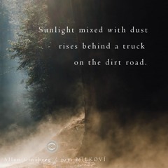 haiku #240: Sunlight mixed with dust / rises behind a truck / on the dirt road.