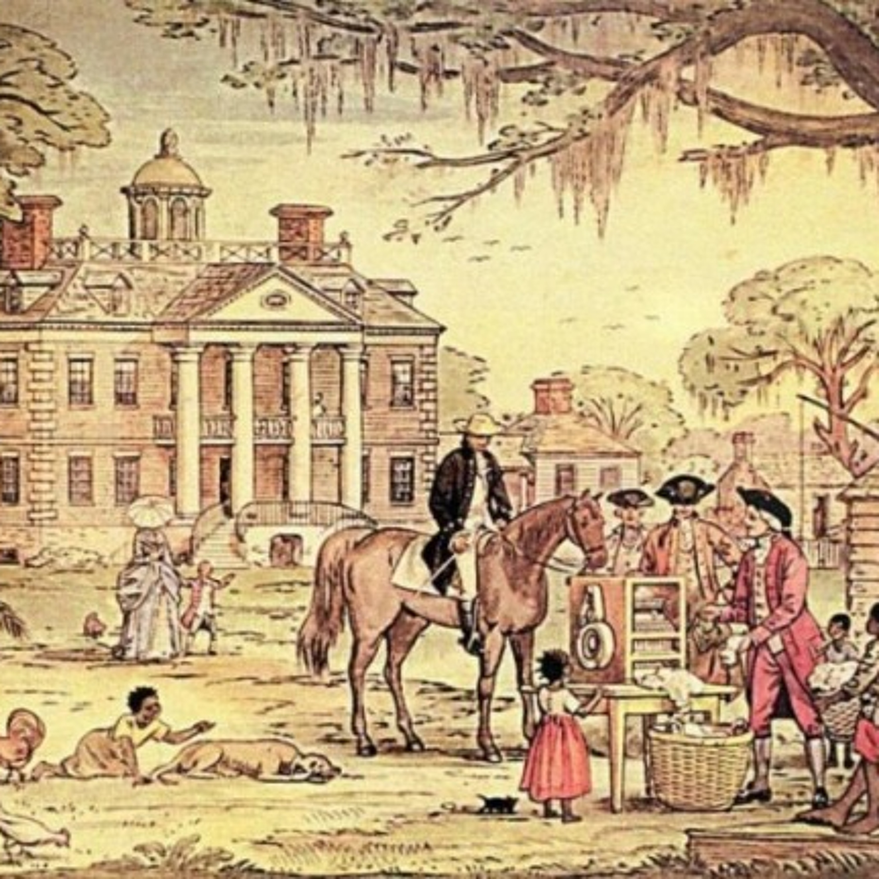Episode 6: Plantation Life in SC, NC, GA episode artwork