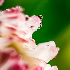 ScalaTone - Malfunktion 03' ^free dl^