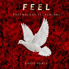 FEEL (Drope Remix)