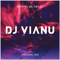 Dj Vianu - Driving Me Crazy (Original Mix)
