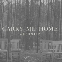 Carry me home -The sweeplings (cover)