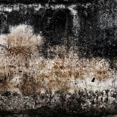 Animal Farm Podcast - Repart