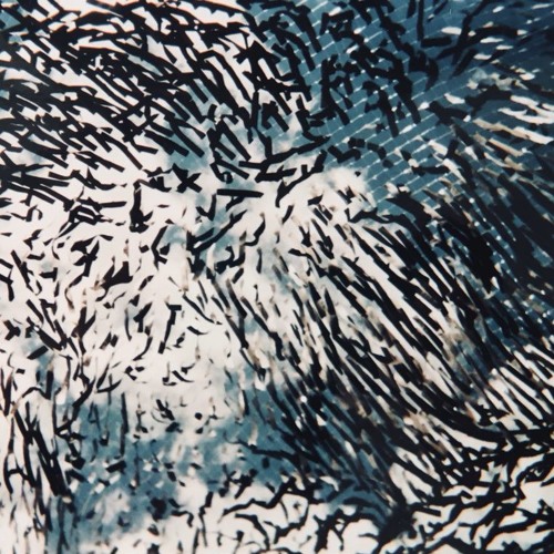 Tobias Pulver - Hummingbird / #02