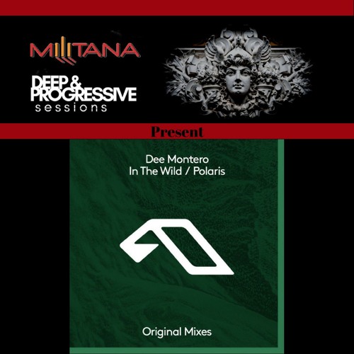 D&P Pres: Dee Montero - Polaris (original mix)