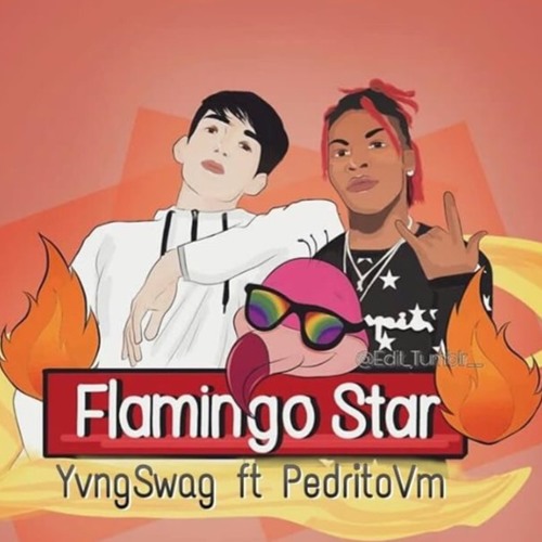 Flamingo Star - Yvng Swag ft. Pedrito Vm