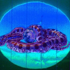 01 QUACKY D - Labirt Part 1 EP