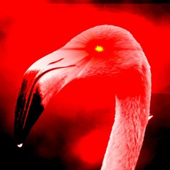 Flamingo Kero Kero Bonito - Instrumental (REMASTERED)