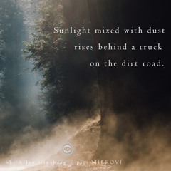 On The Dirt Road (Naviarhaiku240)