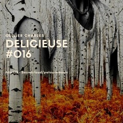 The Mix - DeLiCieUsE Series #016 By Olivier Charles