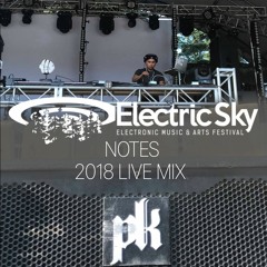 Electric Sky Music Festival 2018 Live Mix