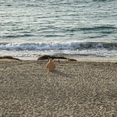 NEVER HAD [PROD. BY KRIS JA'LON]