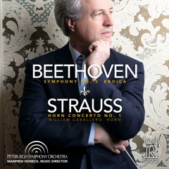 Beethoven: Symphony No. 3: I. Allegro con brio (Excerpt)