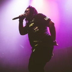 Wild4daSummer