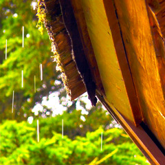 Rain on Roof White Noise (75 Minutes)