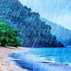 Rain on Beach White Noise (75 Minutes)