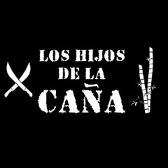 No entiendo pa que vote