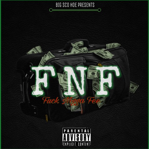 BIGSCOHOE - INTRO FNF