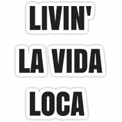 Livin La Vida Loca (DnB Part)FREE DL LINK IN DESCRIPTION
