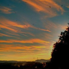 Today (Free Download)