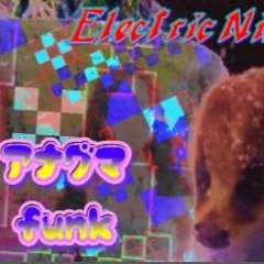 Electric Ninja - アナグマ F U N K (video on instagram @batterycovermissing) (2018_0_09)