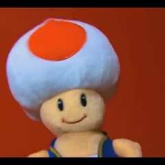 Toad’s Diss Track