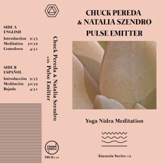 Yoga Nidra Meditation [music excerpt, Crash Symbols 2018]