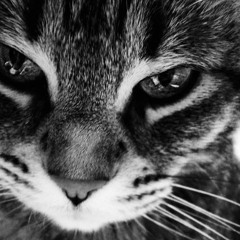 Catarsis (Con Ma.Nada)