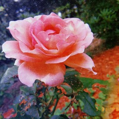 On Cloud 9 (Prod. DatBoiDJ)