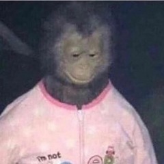 lilyungbeaner - Thoughts Of Her (original)