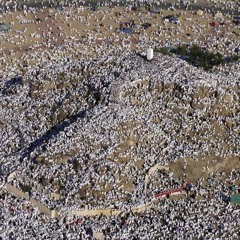انشودة الى عرفات سنمضي غدا- Arafat- الشيخ منصور السالمي