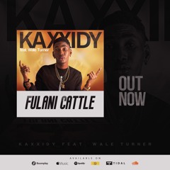 Fulani Cattle Ft. Wale Turner
