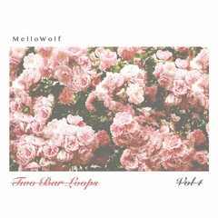 Two Bar Loops Vol. 1