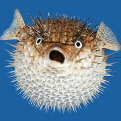 fisch