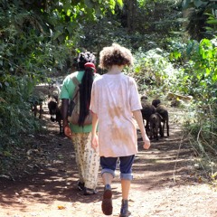 PLEIADES  first rec. redemption song