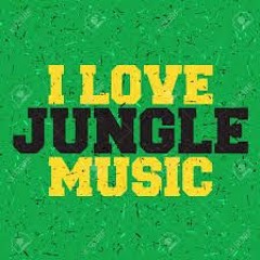 Boombastic Fantastic Jungle '93-95 Mix