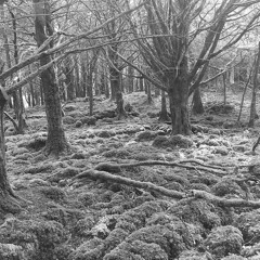 Die Kinder des Monsieur Mathieu