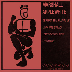 Marshall Applewhite - Destroy the Silence EP (Previews)