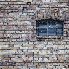 Jetzt - VINE [prod. by Dannson Beats]