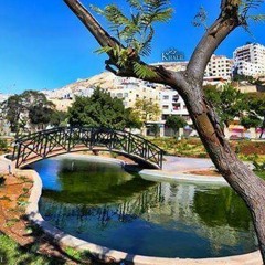 عمر العبدلات_نابلس