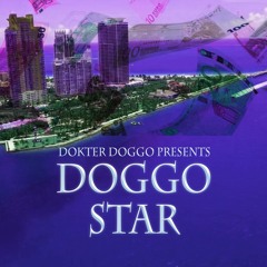 dokter doggo - doggostar (miami vocal) [PLAY011]