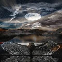 Dark Night By The Moon ©