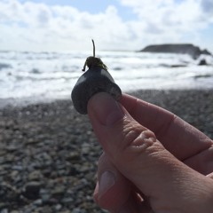 Rave 1 -  Stowlab Trap 1