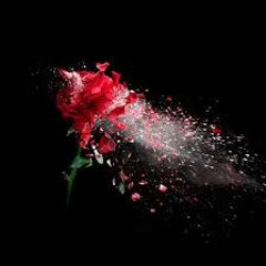 Juannell Jefferson x Dotti lyne x Ty wntrs - Somebody  Else