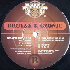 Bruyaa & Ozonic - Evolution