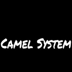 Droop In Droop(Camel System rmx)